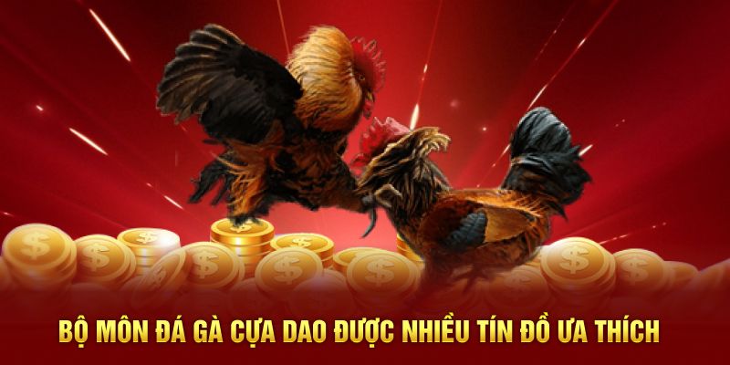 Bộ môn đá gà cựa dao được nhiều tín đồ ưa thích