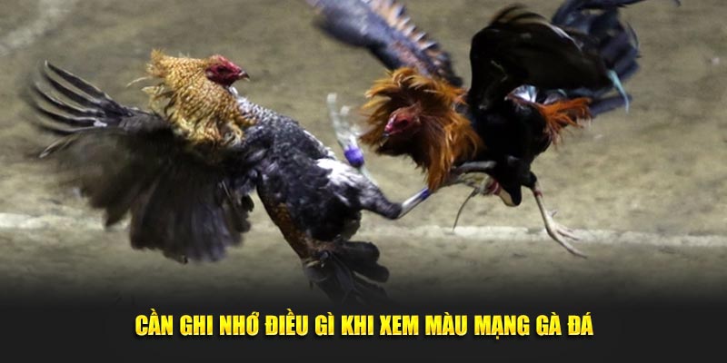 Cần ghi nhớ điều gì khi xem màu mạng gà đá