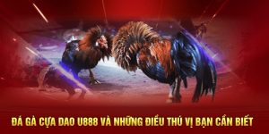 Đá Gà Cựa Dao U888 Và Những Điều Thú Vị Bạn Cần Biết
