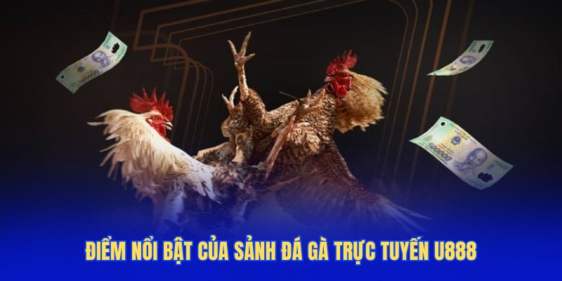 Điểm nổi bật của sảnh đá gà trực tuyến U888