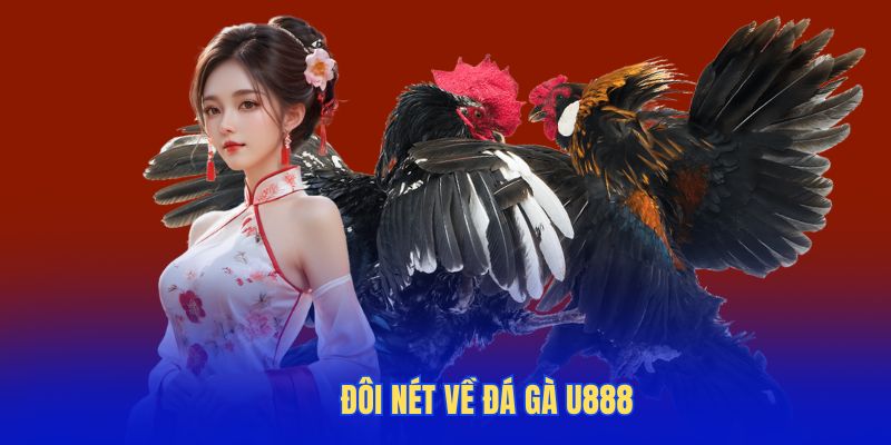 Đôi nét về đá gà U888