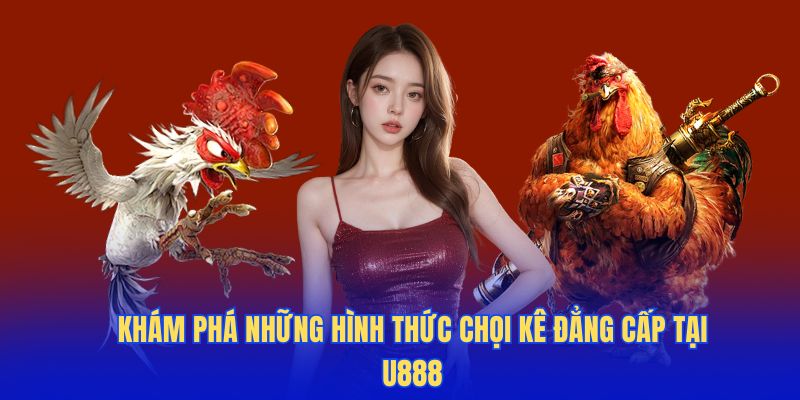 Khám phá những hình thức chọi kê đẳng cấp tại U888