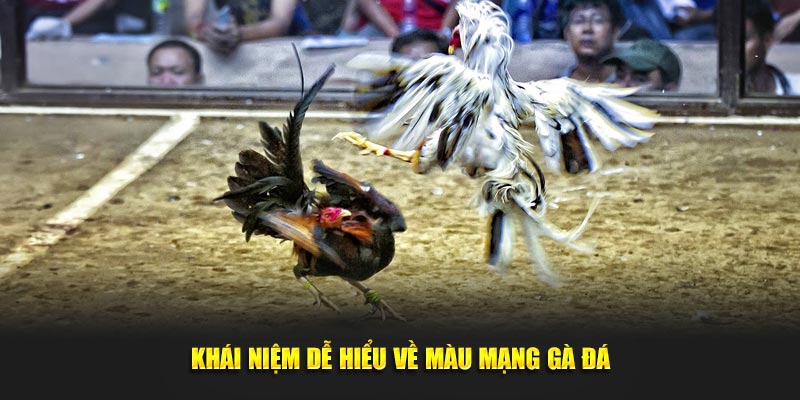 Khái niệm dễ hiểu về màu mạng gà đá