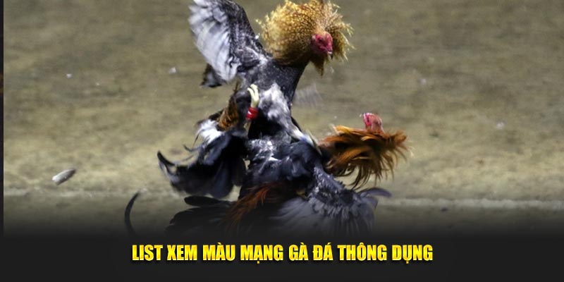 List xem màu mạng gà đá thông dụng