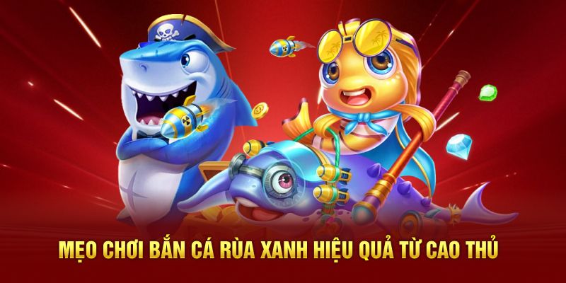 Mẹo chơi bắn cá rùa xanh hiệu quả từ cao thủ